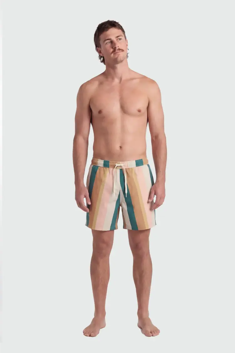 TEAMLTD TEAMLTD Classic 6" Swim Short (Mens) | Palette