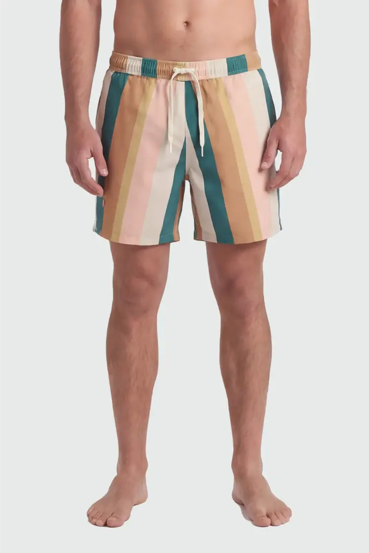 TEAMLTD TEAMLTD Classic 6" Swim Short (Mens) | Palette