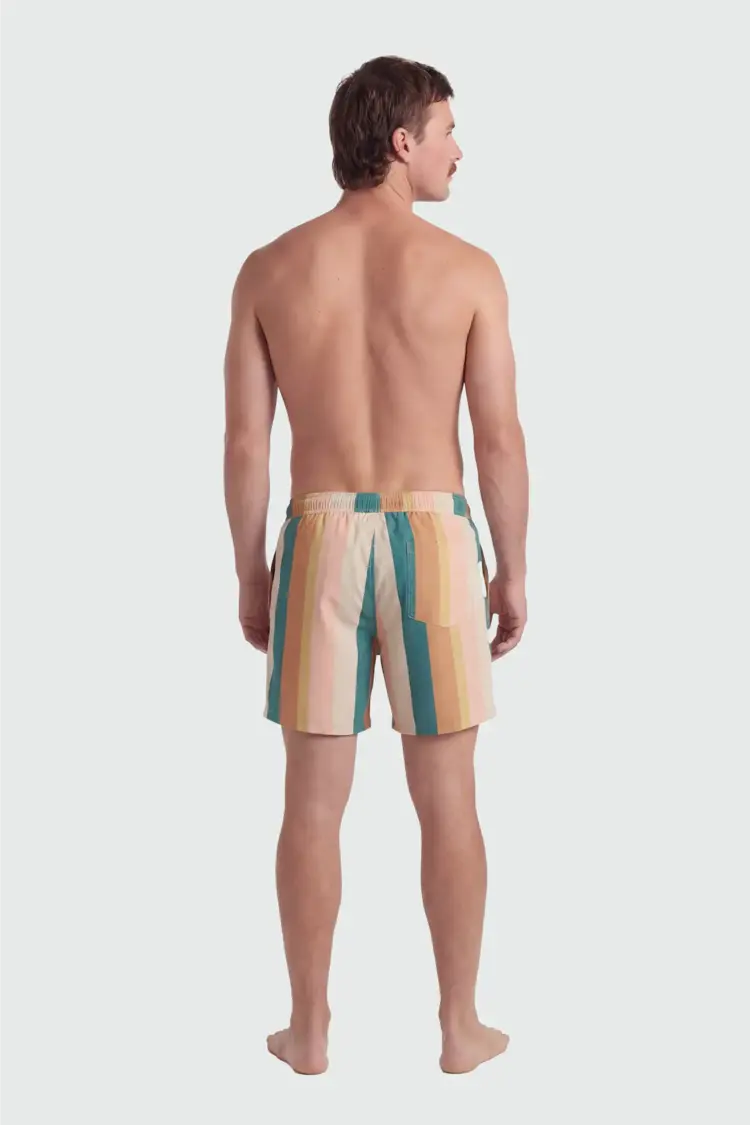 TEAMLTD TEAMLTD Classic 6" Swim Short (Mens) | Palette