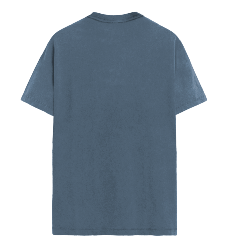 TEAMLTD TEAMLTD Living The Dream Tee (Mens) | Grey