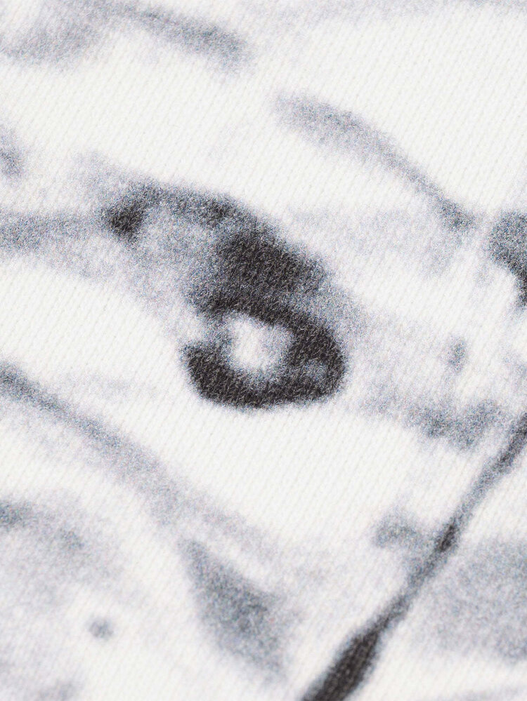 Loviah Loviah Wallride Crewneck (Mens) | Wall