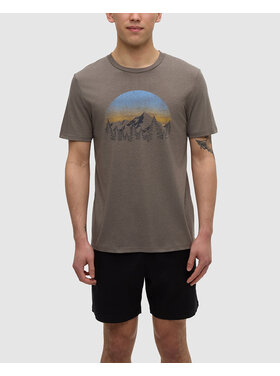 Tentree Tentree Vintage Sunset Tee (Mens) | Timber Htr/Light Moss