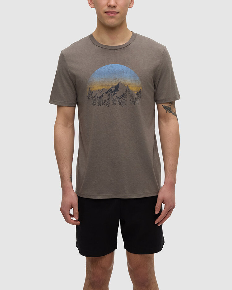 Tentree Tentree Vintage Sunset Tee (Mens) | Timber Htr/Light Moss