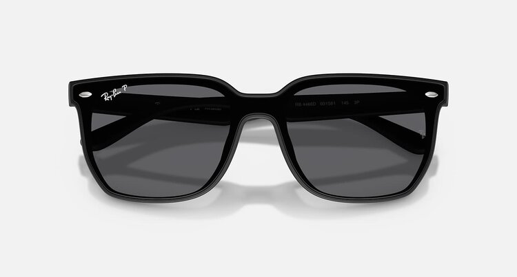 Ray Ban Ray Ban RB4466D Matte Black | Grey Polarized