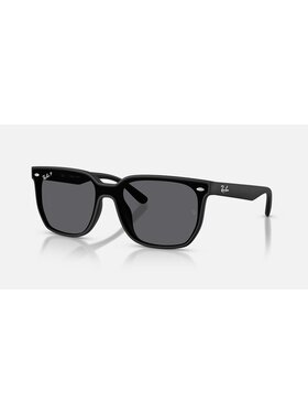 Ray Ban Ray Ban RB4466D Matte Black | Grey Polarized