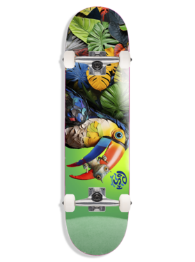 Push Push Toucan Fp Complete