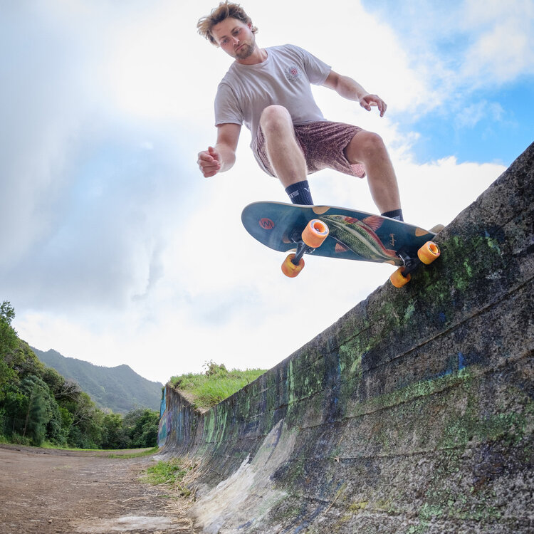 Landyachtz Landyachtz Raft Complete | Trout