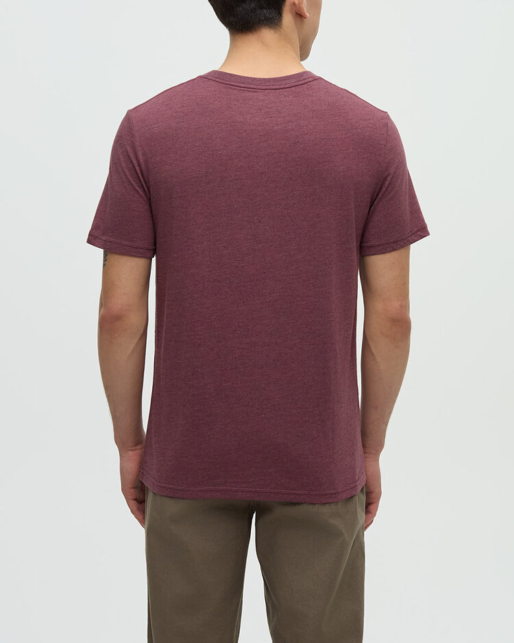 Tentree Tentree Embroidered Ten Tee (Mens) | Rosewood Fleck/Blue