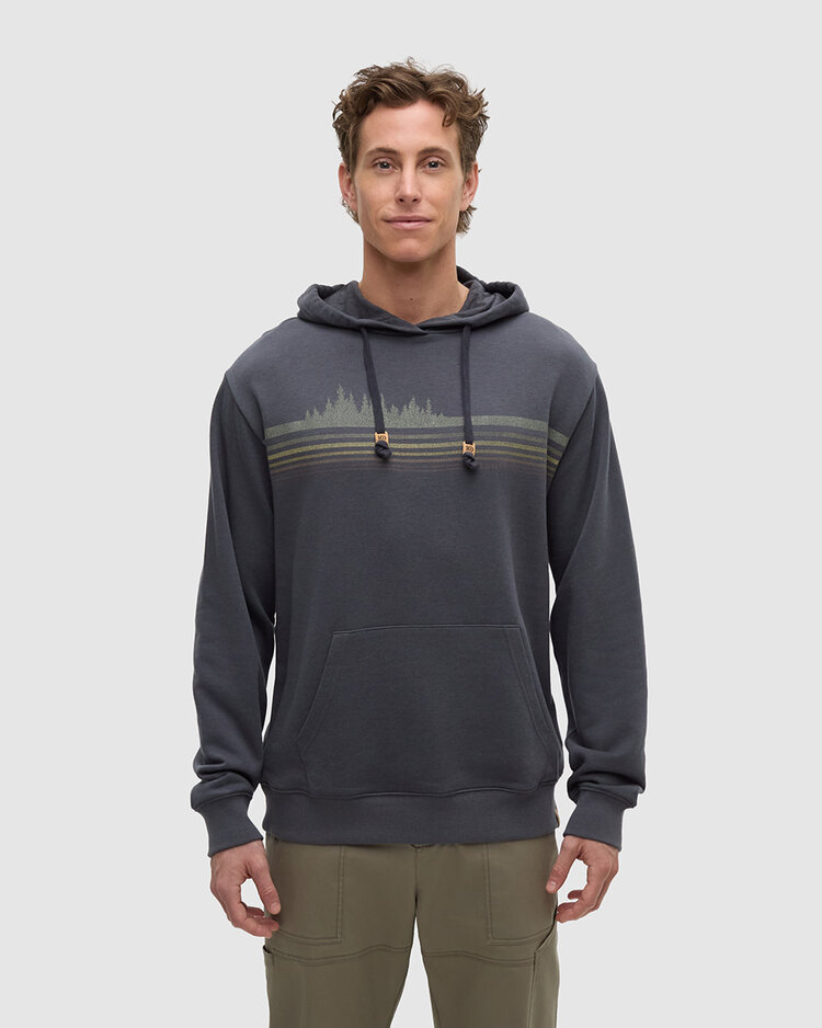 Tentree Tentree Retro Treeline Relaxed Hoodie (Mens) | Graphite/Light Moss