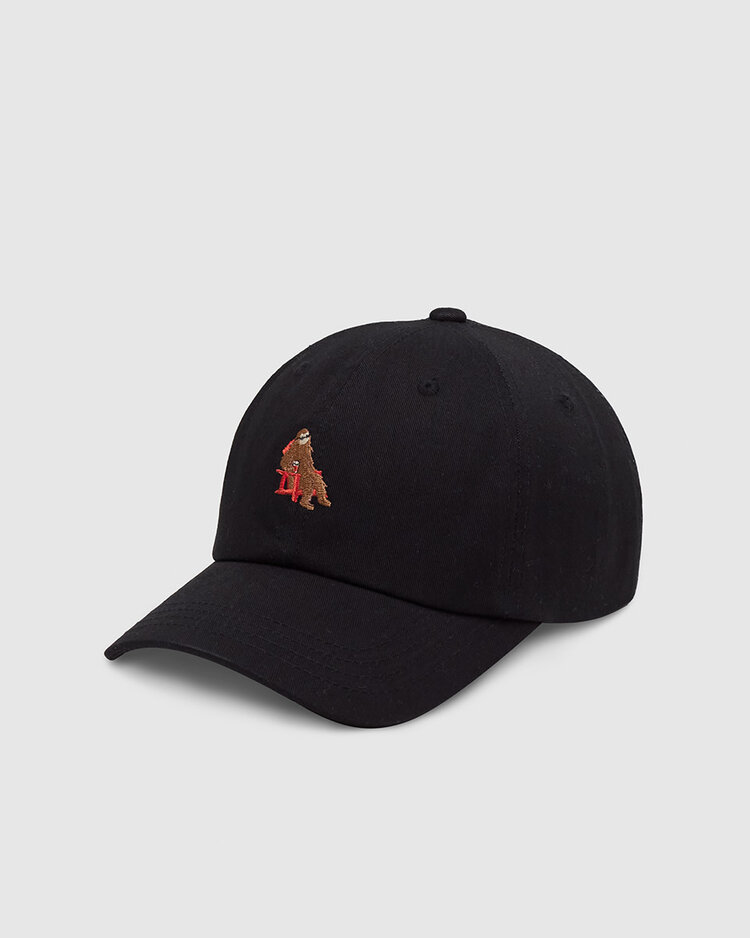 Tentree Tentree Sasquatch Peak Hat (Unisex) | Meteorite Black/Adirondack
