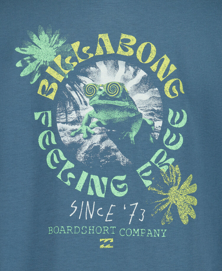 Billabong Billabong Psych Frog Ss (Youth) | Real Teal