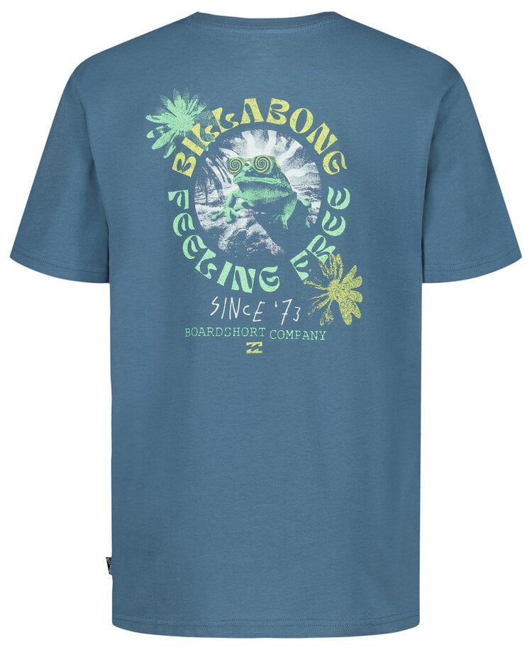 Billabong Billabong Psych Frog Ss (Youth) | Real Teal