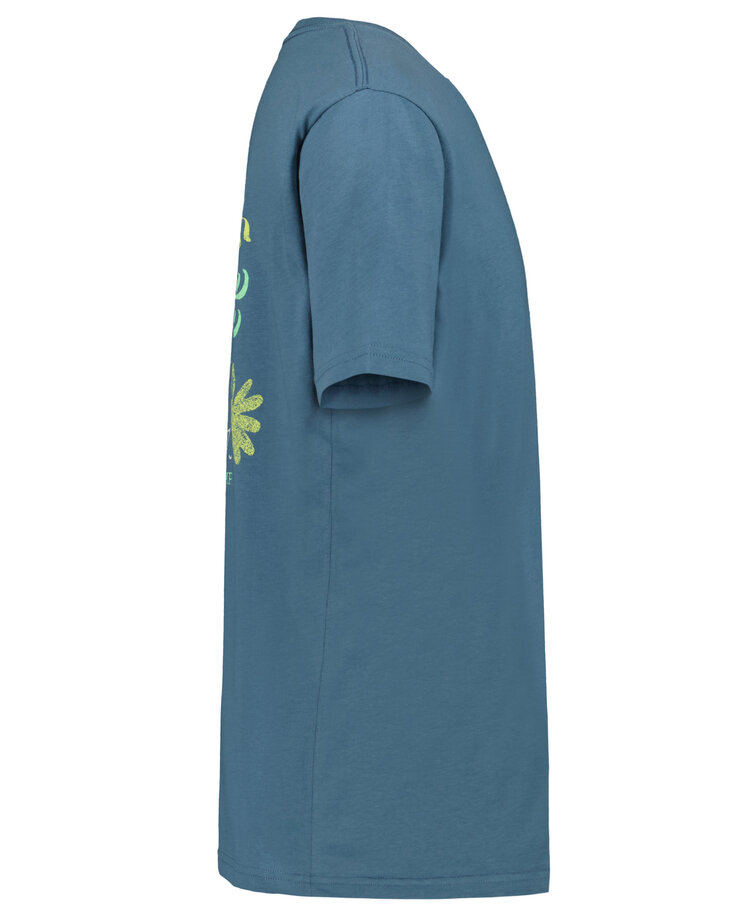 Billabong Billabong Psych Frog Ss (Youth) | Real Teal