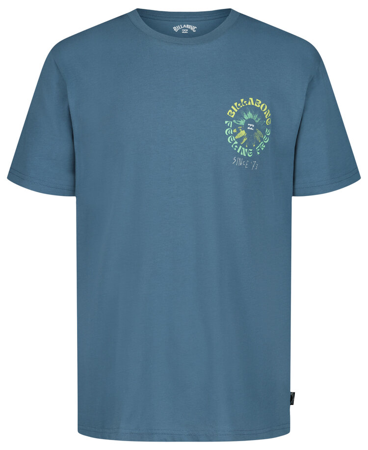 Billabong Billabong Psych Frog Ss (Youth) | Real Teal