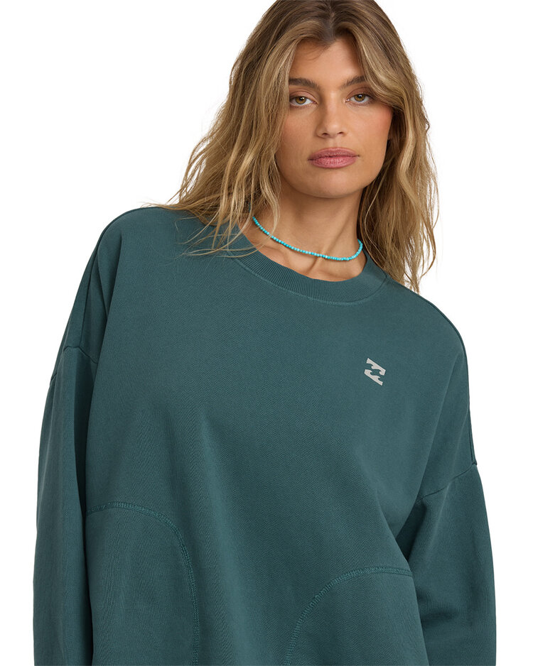 Billabong Billabong Dont Forget Crew (Womens) | Alpine