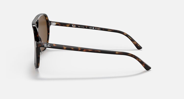 Ray Ban Ray Ban Bill Havana | Brown Polarized