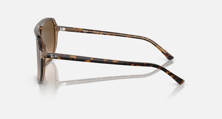 Ray Ban Ray Ban Bill One Havana On Transparent Brown | Brown Polarized