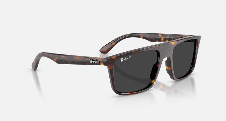Ray Ban Ray Ban RB2222 Havana | Black Polarized