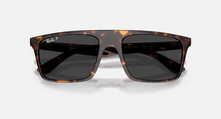 Ray Ban Ray Ban RB2222 Havana | Black Polarized