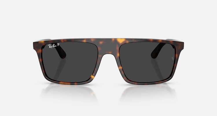 Ray Ban Ray Ban RB2222 Havana | Black Polarized
