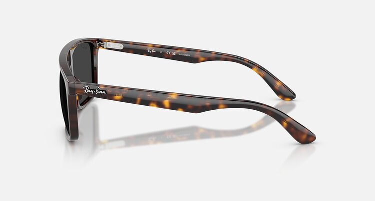 Ray Ban Ray Ban RB2222 Havana | Black Polarized