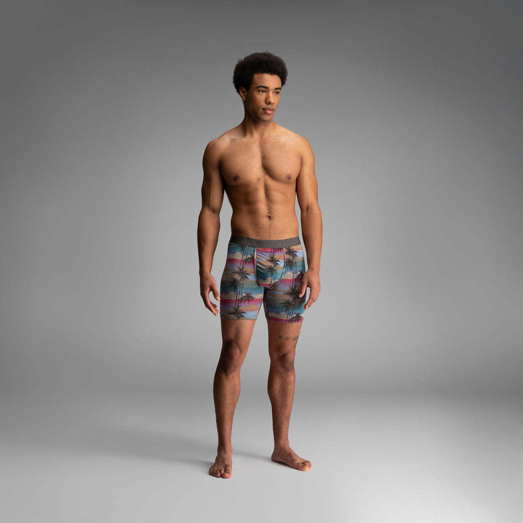 BN3TH Bn3Th Classic Icon Boxer Brief Print | Palm Tree Horizon-Heather