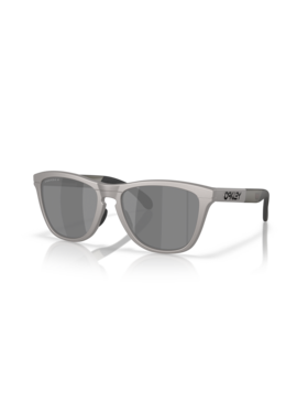 Oakley Oakley Frogskins Range Titatnium | Prizm Black Polarized
