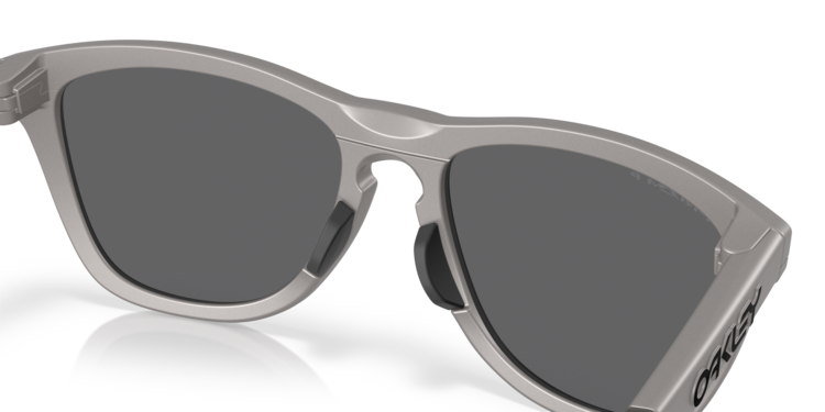 Oakley Oakley Frogskins Range Titatnium | Prizm Black Polarized