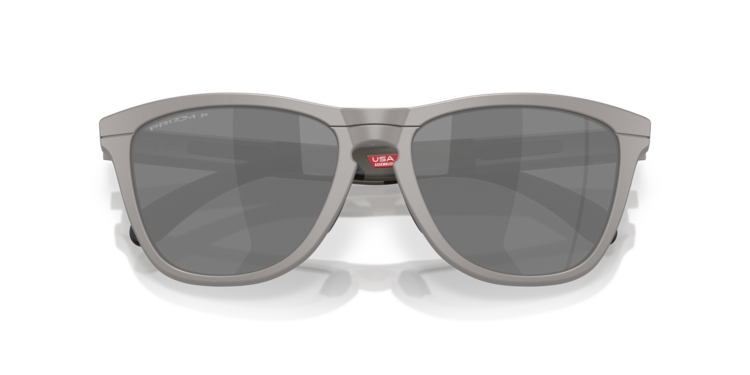Oakley Oakley Frogskins Range Titatnium | Prizm Black Polarized