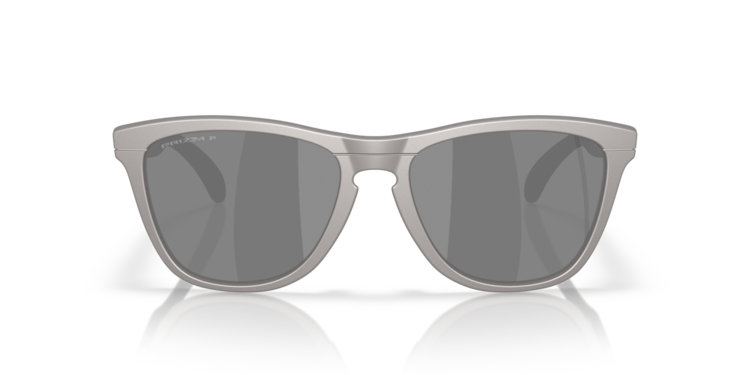 Oakley Oakley Frogskins Range Titatnium | Prizm Black Polarized