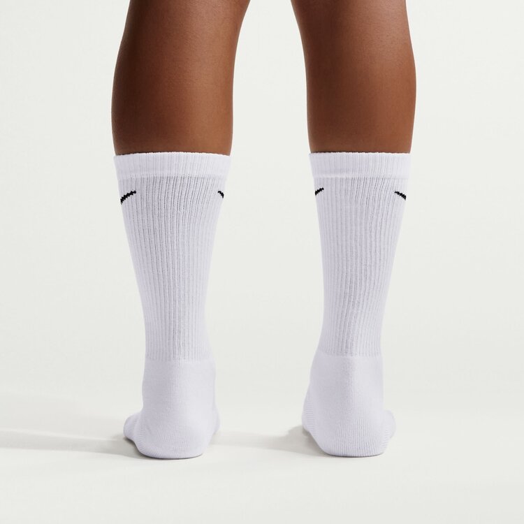 Nike SB Nike Sb Everyday Elevated Crew Sock-6Pk (Unisex) | White/Black