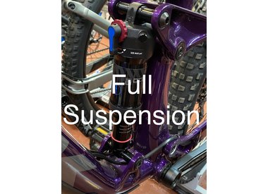full suspensions