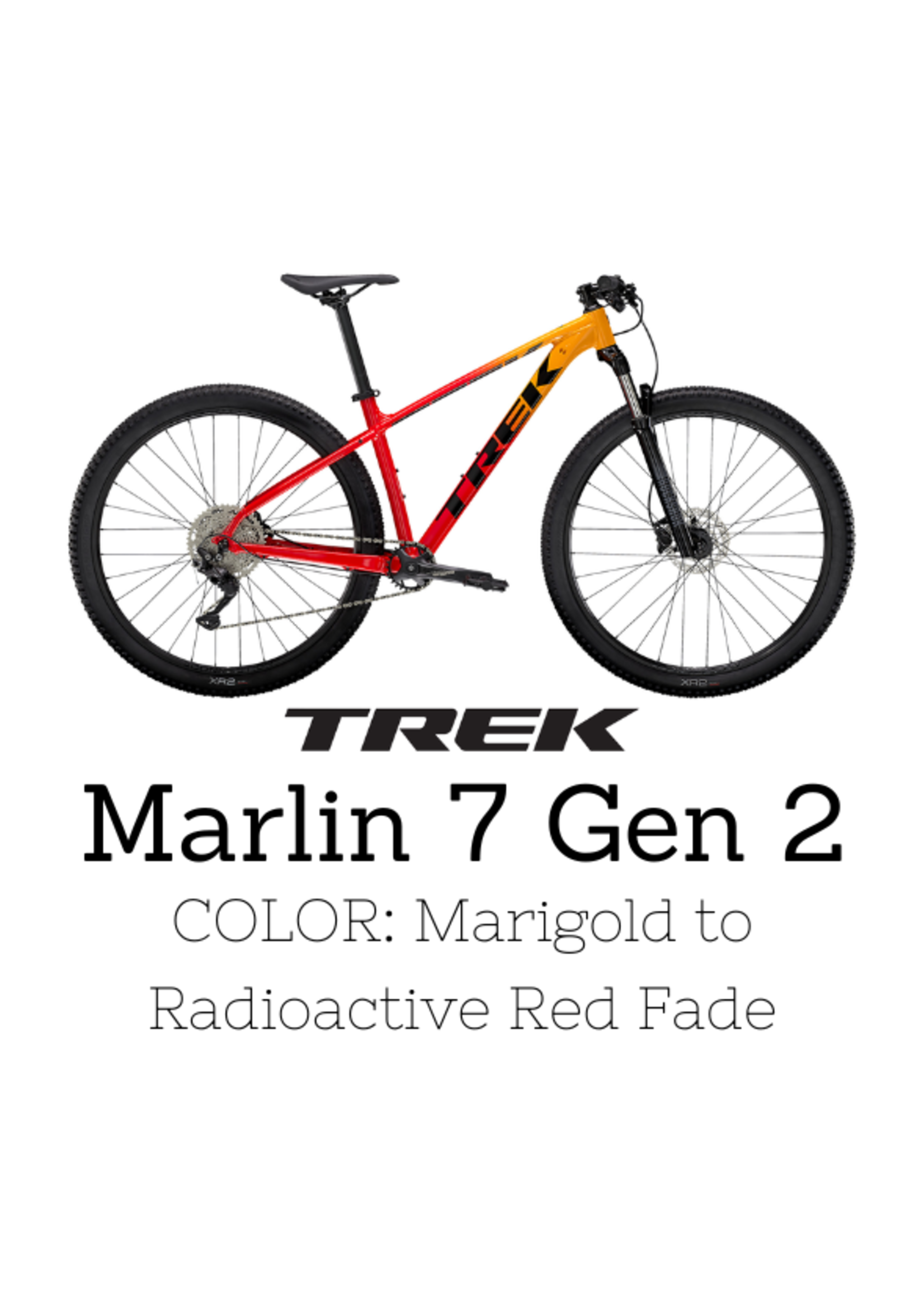 2022 Trek Marlin Lineup Compared!! What's The Difference Between