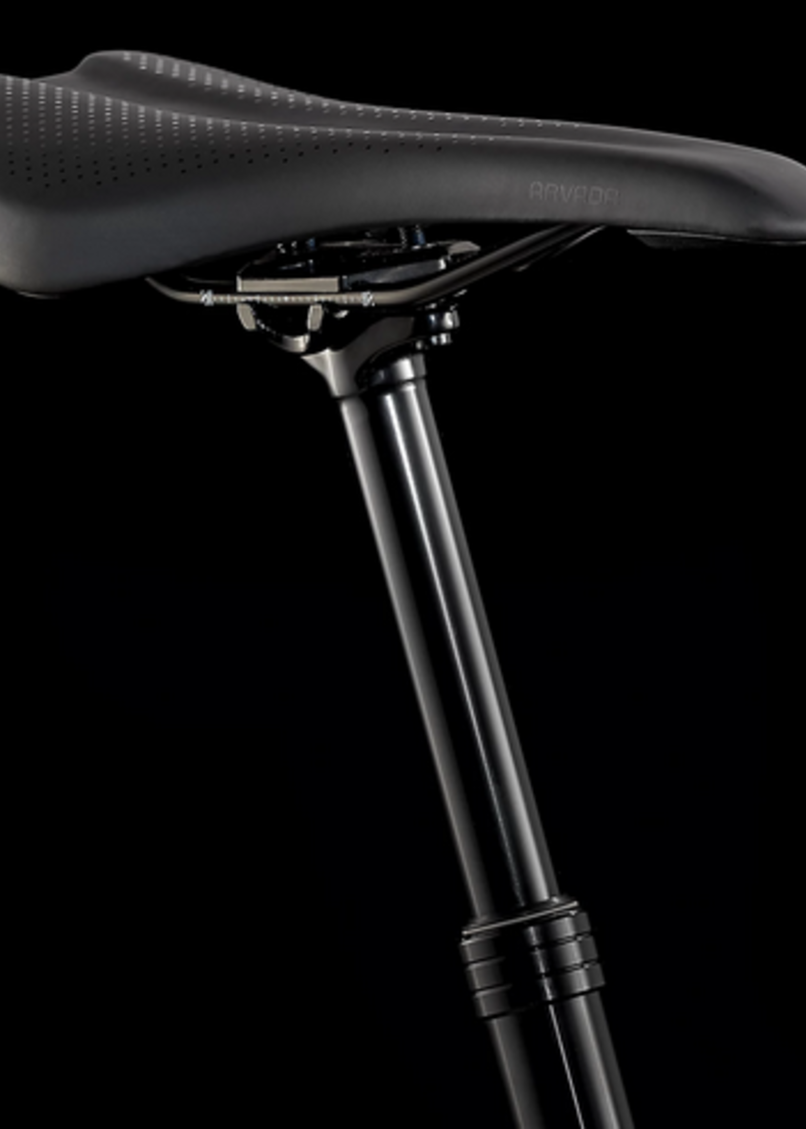 TREK Roscoe 8 (2023)