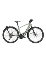 TREK Trek FX+ 7S