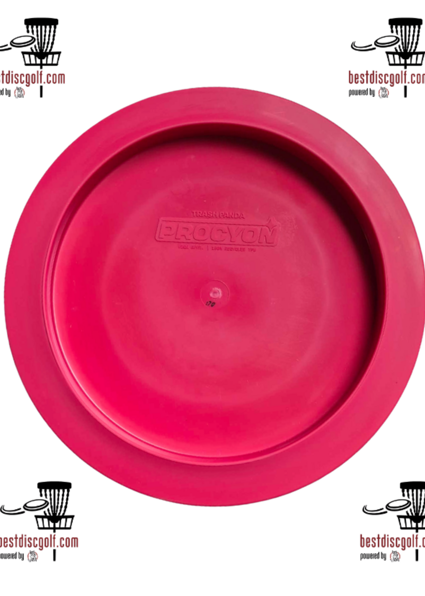 Trash Panda Trash Panda Procyon