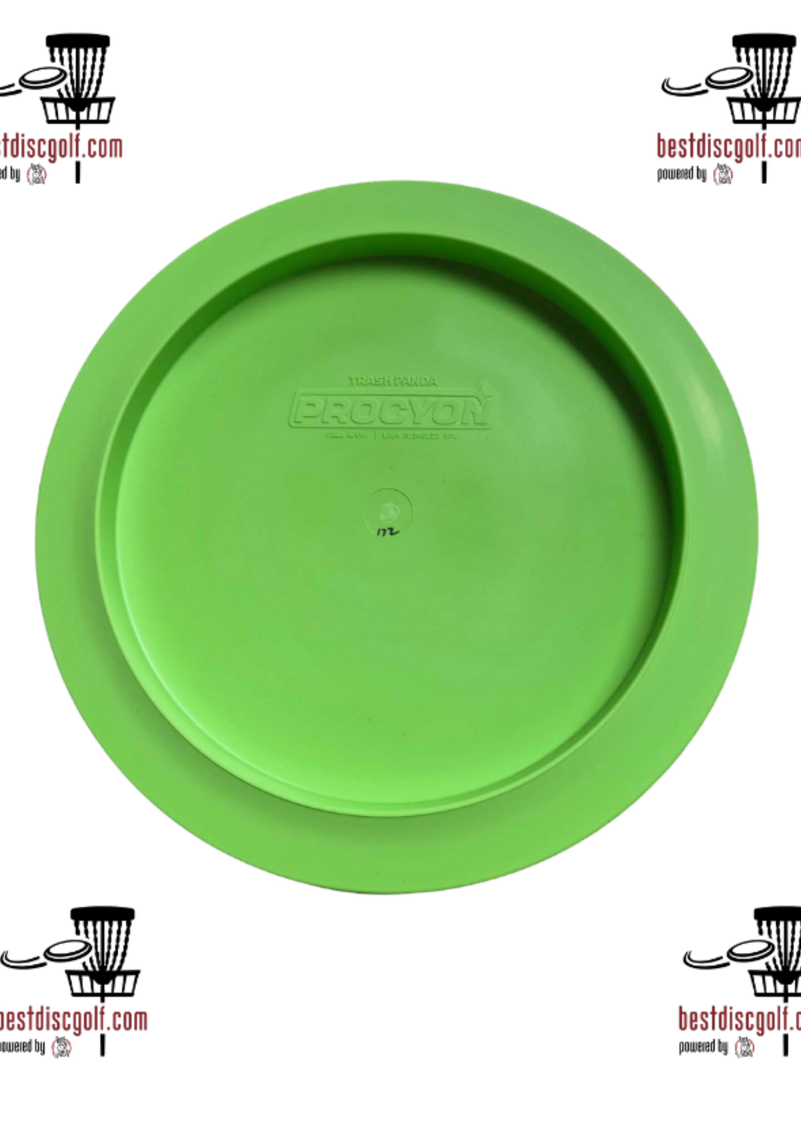 Trash Panda Trash Panda Procyon