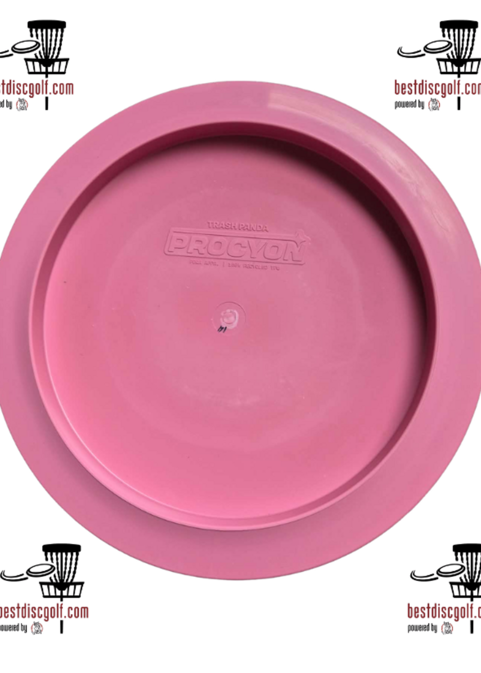 Trash Panda Trash Panda Procyon