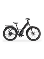 TREK Trek Borrego+
