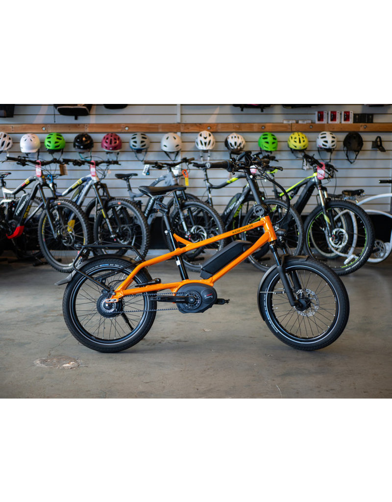 riese & muller tinker touring hs