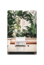 TrueFlame TrueFlame 27" x 20" Horizontal Access Door with Hidden Hinge (Reversible Door) - TF-DH-27-A