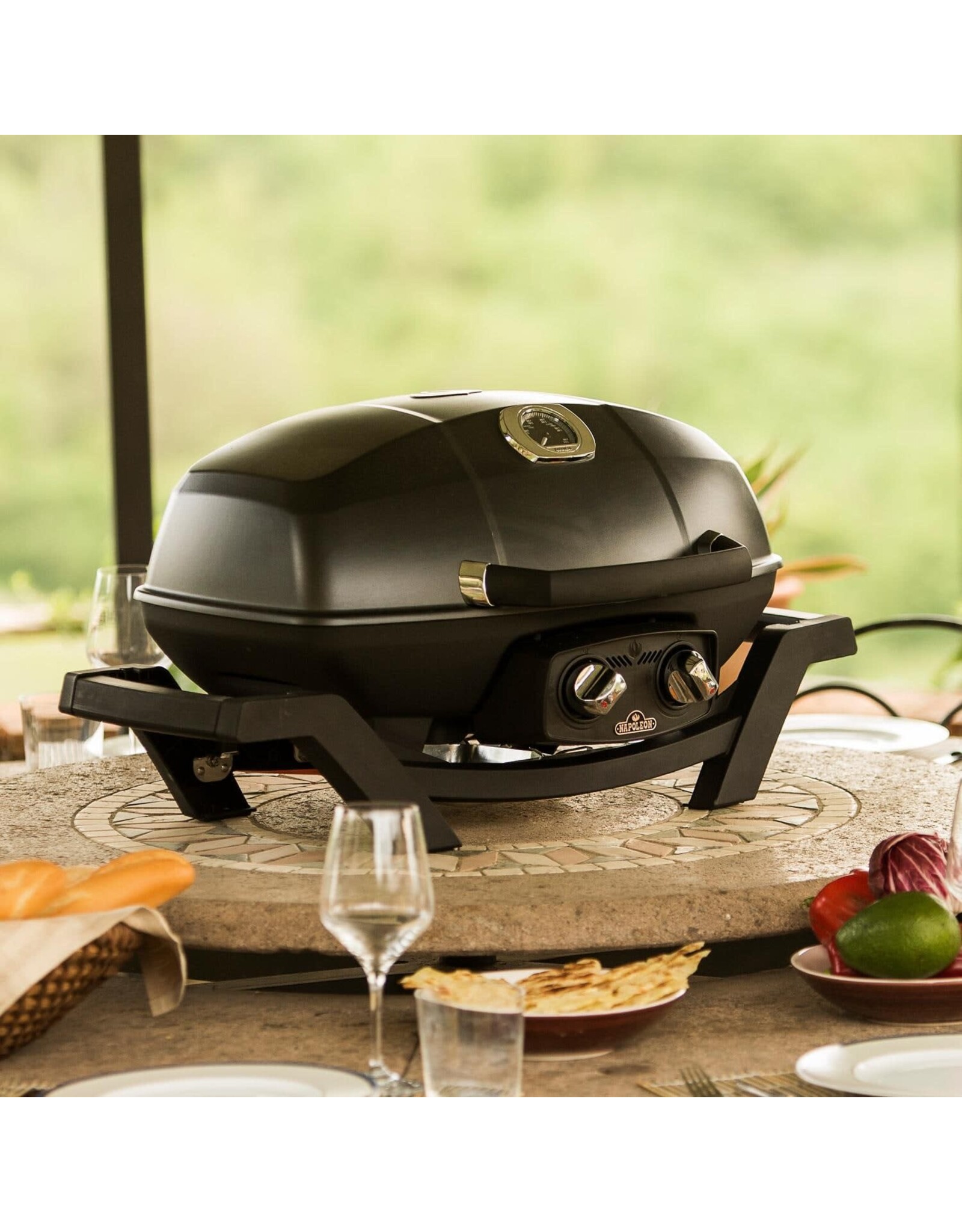Napoleon Napoleon TravelQ PRO285 Portable Gas Grill Natural Gas - PRO285N-BK