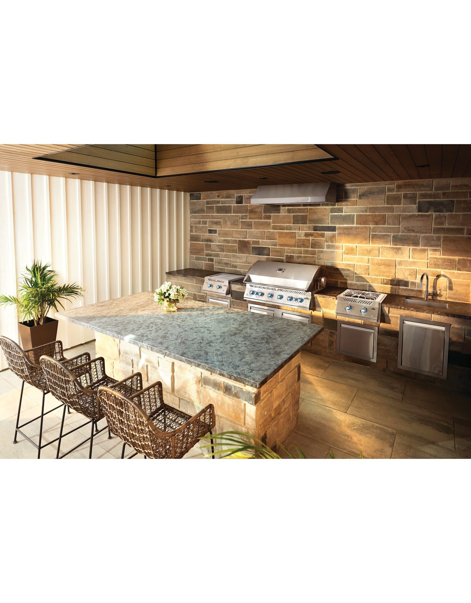 Napoleon Napoleon Built-In 700 Series 44" with Dual Infrared Rear Burners, Natural Gas, Stainless Steel - BIG44RBNSS-1