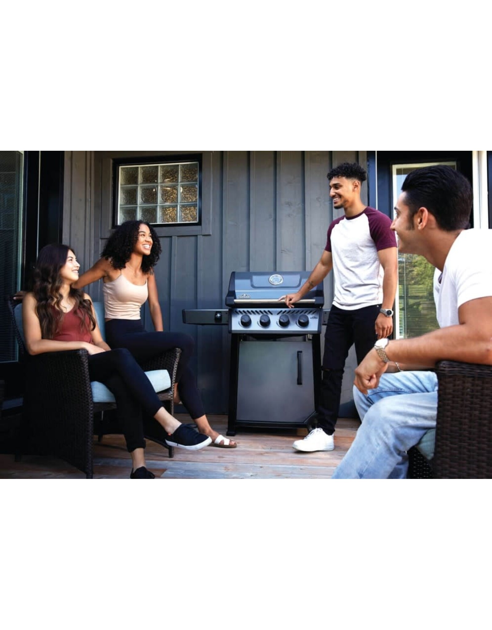 Napoleon Napoleon Freestyle 425 Propane Gas Grill, Graphite Grey - F425DPGT