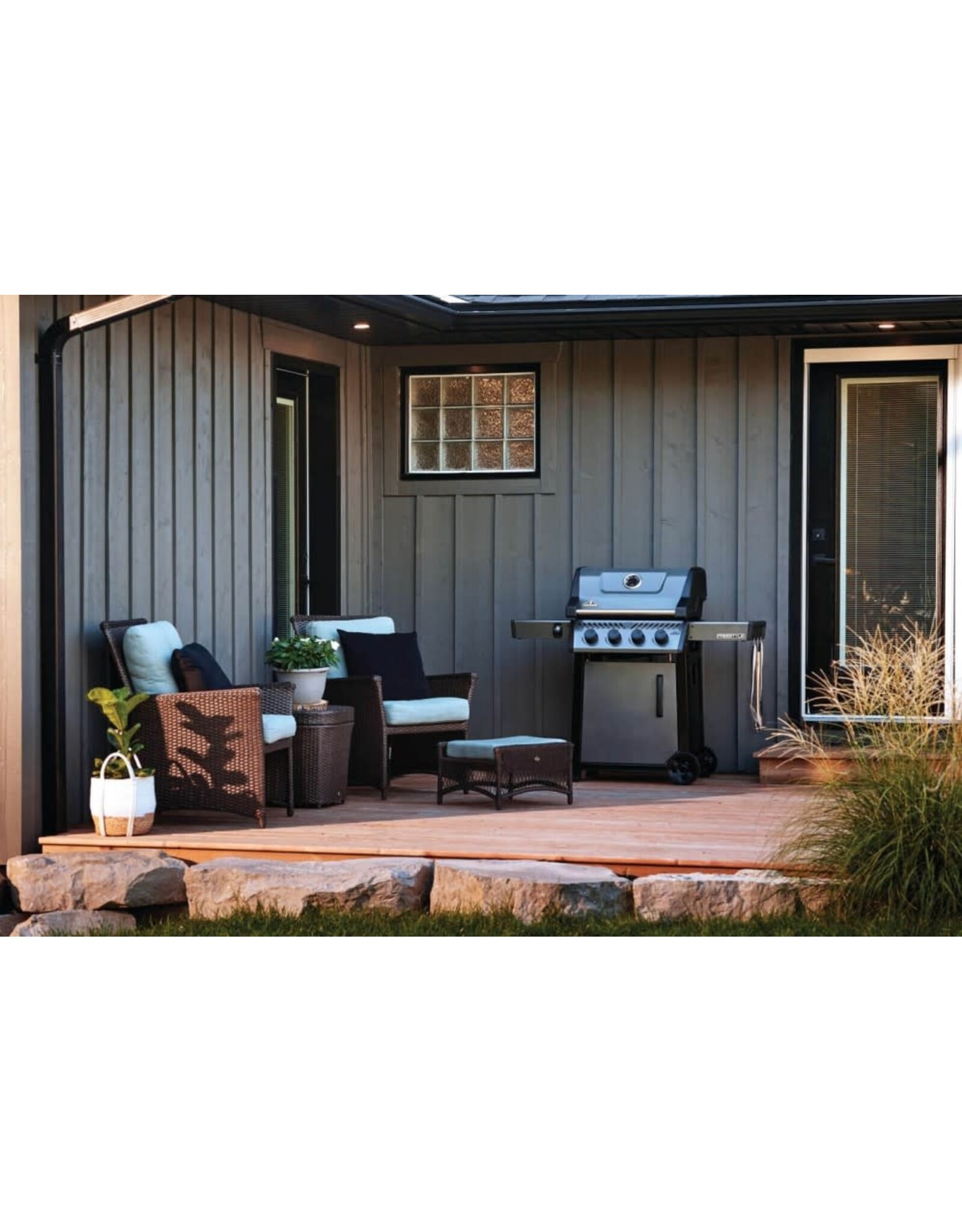 Napoleon Napoleon Freestyle 425 Propane Gas Grill, Graphite Grey - F425DPGT