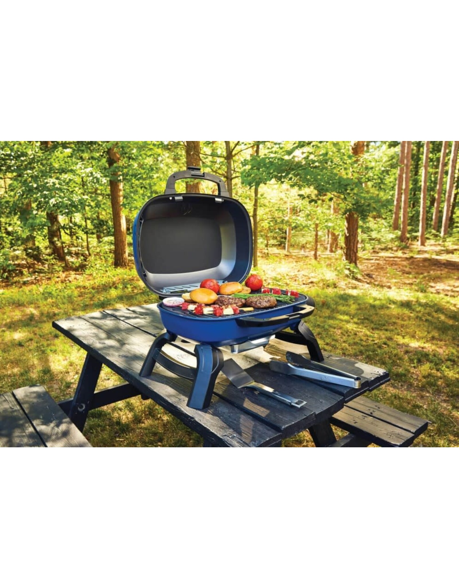 Napoleon Napoleon TravelQ 240 Portable Propane Gas Grill - TQ240-BL