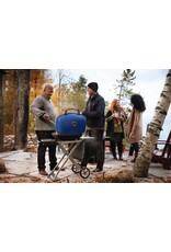 Napoleon Napoleon TravelQ™ 285X Portable Propane Gas Grill with Scissor Cart, Blue  - TQ285X-BL-1