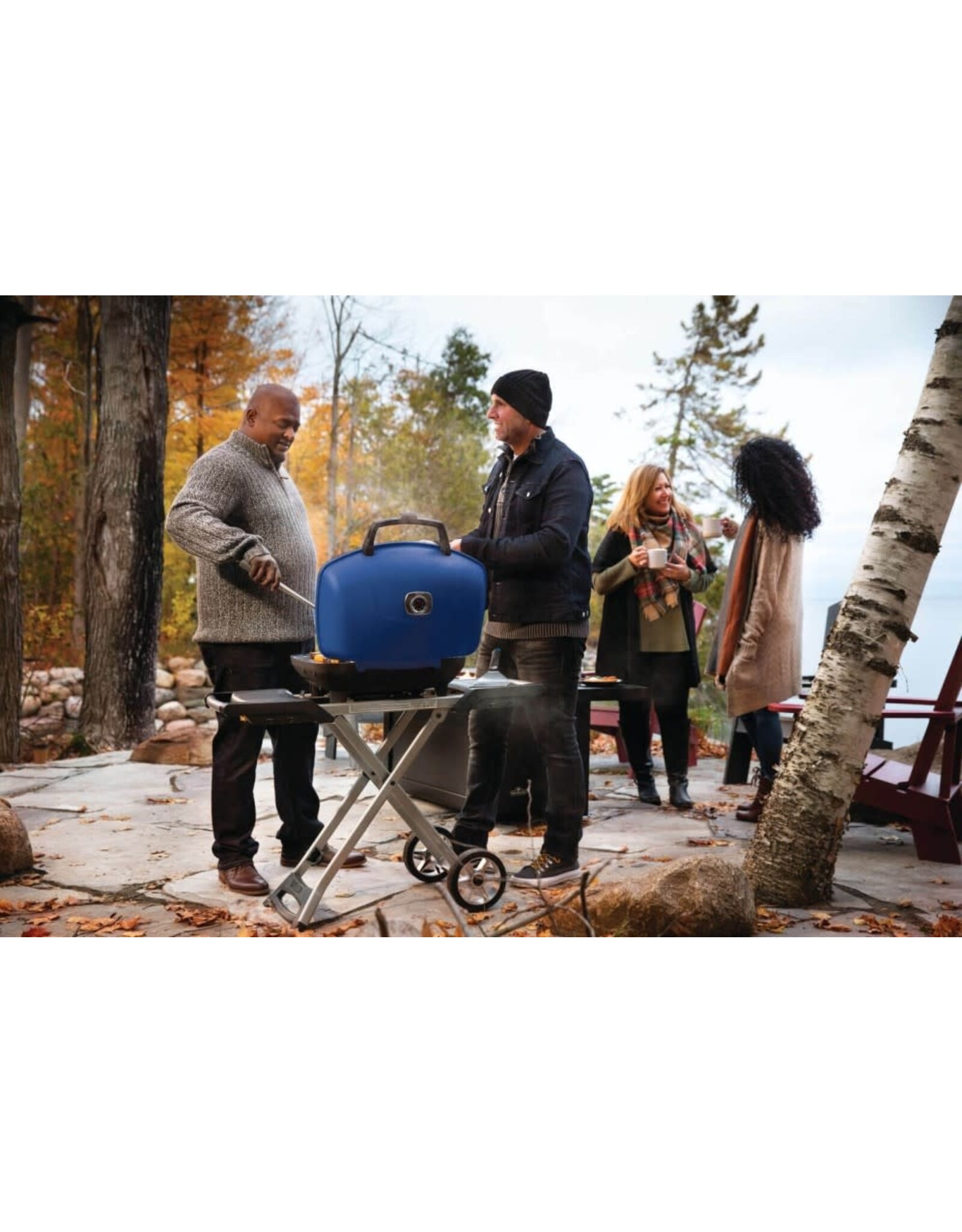 Napoleon Napoleon TravelQ™ 285X Portable Propane Gas Grill with Scissor Cart, Blue  - TQ285X-BL-1