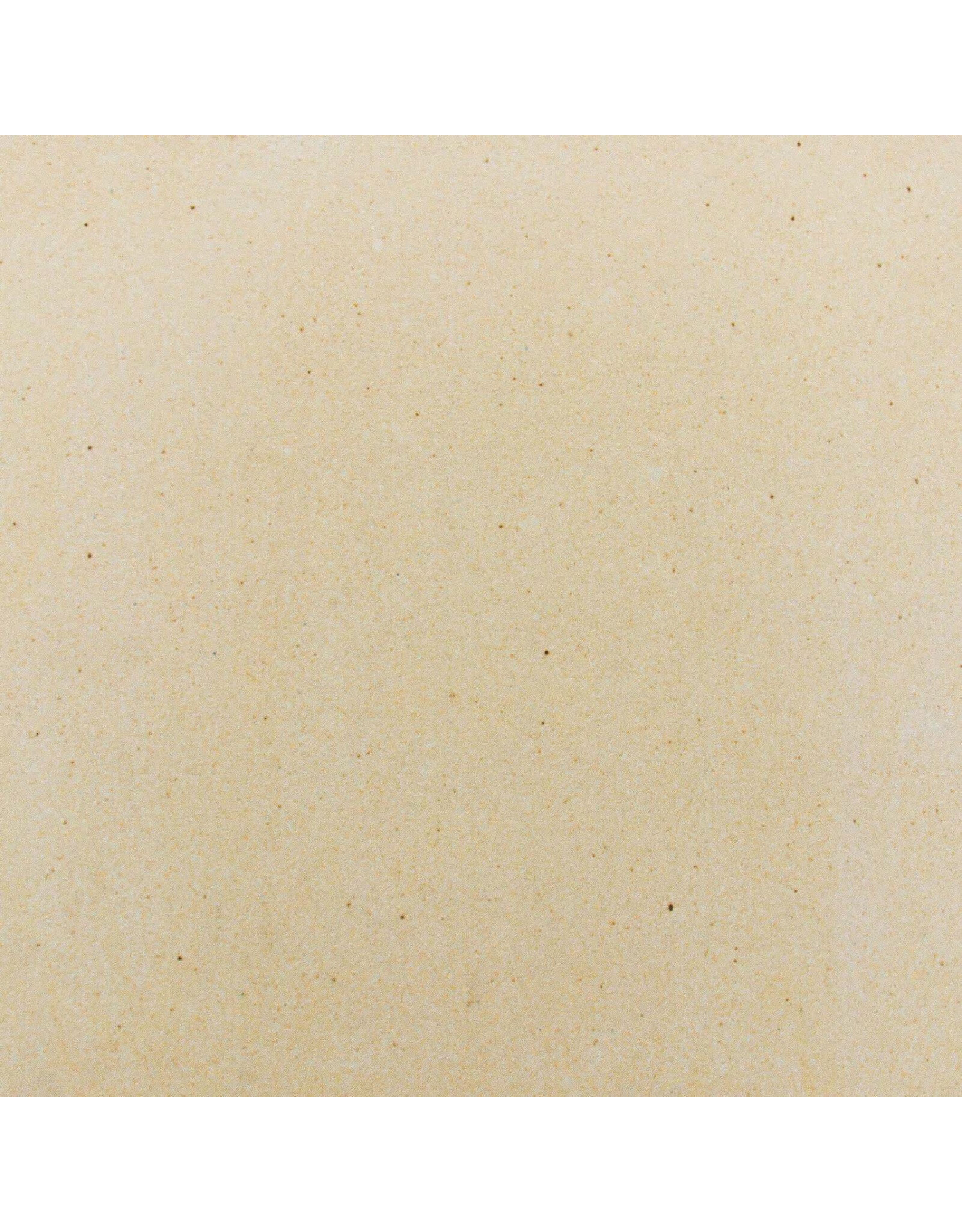 Blaze Outdoor Products Blaze Pizza Stone - BLZ-PZST