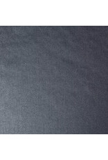Blaze Outdoor Products Blaze Griddle Built-In Cover